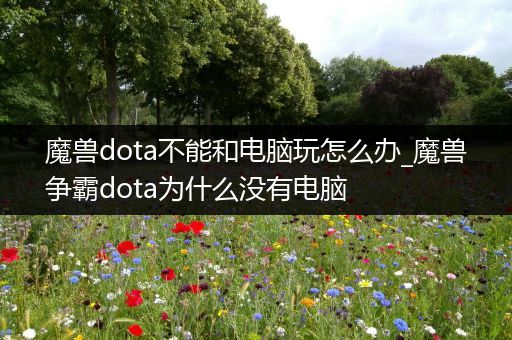 魔兽dota不能和电脑玩怎么办_魔兽争霸dota为什么没有电脑