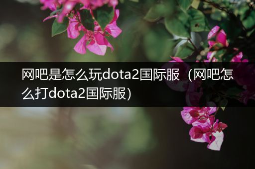 网吧是怎么玩dota2国际服（网吧怎么打dota2国际服）
