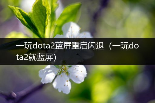 一玩dota2蓝屏重启闪退（一玩dota2就蓝屏）