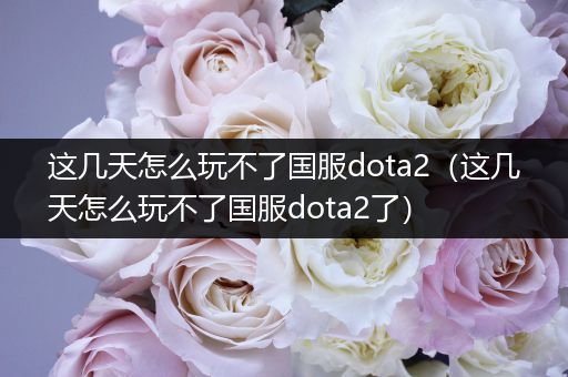 这几天怎么玩不了国服dota2（这几天怎么玩不了国服dota2了）