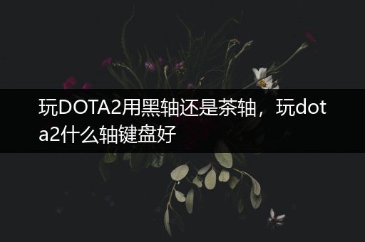 玩DOTA2用黑轴还是茶轴，玩dota2什么轴键盘好