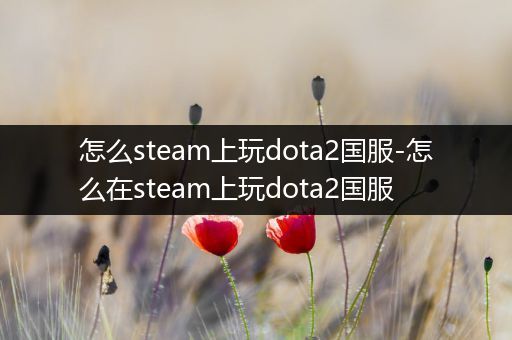 怎么steam上玩dota2国服-怎么在steam上玩dota2国服