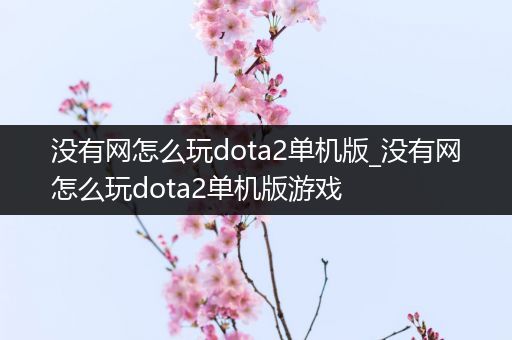 没有网怎么玩dota2单机版_没有网怎么玩dota2单机版游戏