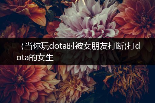 （当你玩dota时被女朋友打断)打dota的女生