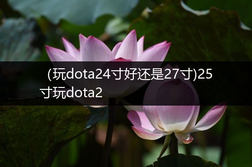（玩dota24寸好还是27寸)25寸玩dota2