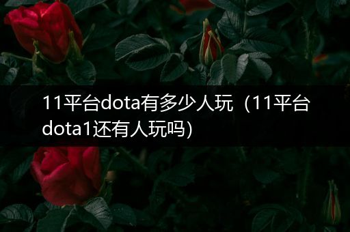 11平台dota有多少人玩（11平台dota1还有人玩吗）