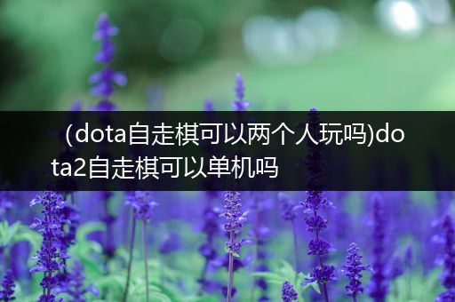 （dota自走棋可以两个人玩吗)dota2自走棋可以单机吗