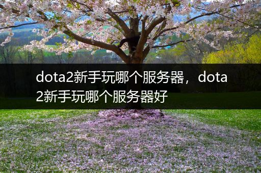 dota2新手玩哪个服务器，dota2新手玩哪个服务器好