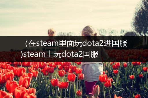 （在steam里面玩dota2进国服)steam上玩dota2国服