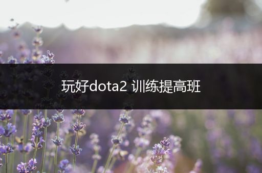 玩好dota2 训练提高班