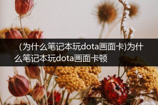 （为什么笔记本玩dota画面卡)为什么笔记本玩dota画面卡顿