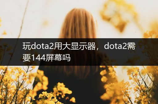 玩dota2用大显示器，dota2需要144屏幕吗