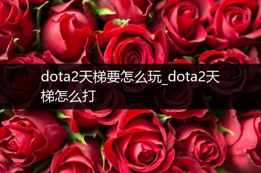 dota2天梯要怎么玩_dota2天梯怎么打