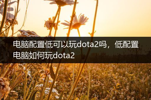 电脑配置低可以玩dota2吗，低配置电脑如何玩dota2