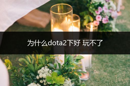 为什么dota2下好 玩不了