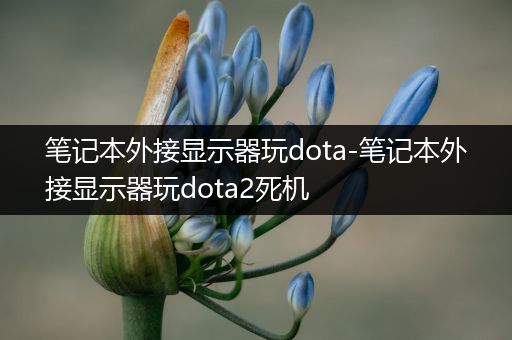 笔记本外接显示器玩dota-笔记本外接显示器玩dota2死机