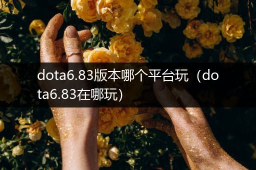 dota6.83版本哪个平台玩（dota6.83在哪玩）