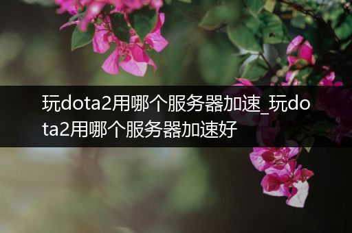 玩dota2用哪个服务器加速_玩dota2用哪个服务器加速好