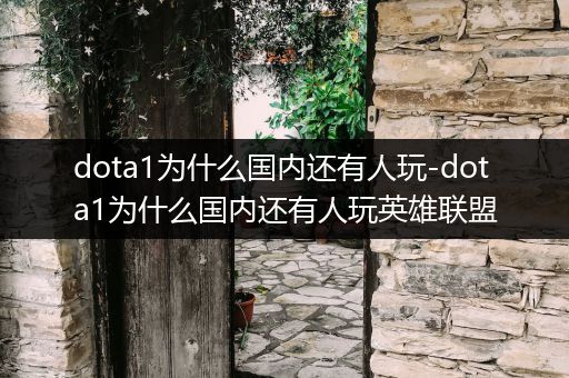 dota1为什么国内还有人玩-dota1为什么国内还有人玩英雄联盟