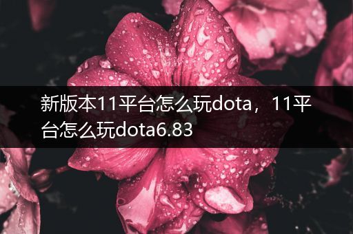 新版本11平台怎么玩dota，11平台怎么玩dota6.83