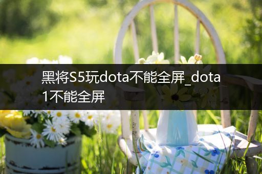 黑将S5玩dota不能全屏_dota1不能全屏