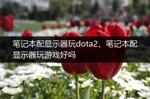 笔记本配显示器玩dota2，笔记本配显示器玩游戏好吗