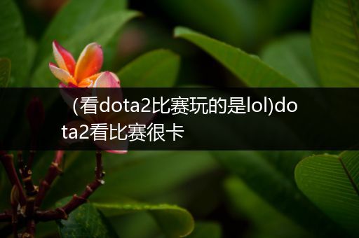 （看dota2比赛玩的是lol)dota2看比赛很卡