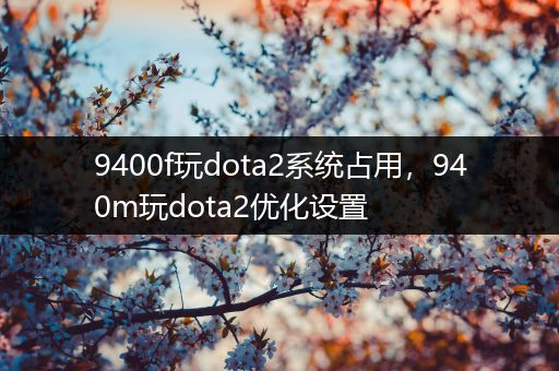 9400f玩dota2系统占用，940m玩dota2优化设置