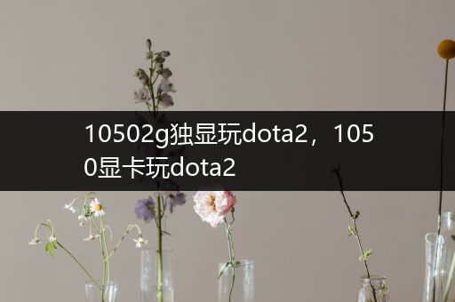 10502g独显玩dota2，1050显卡玩dota2