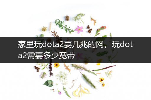 家里玩dota2要几兆的网，玩dota2需要多少宽带