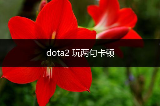 dota2 玩两句卡顿