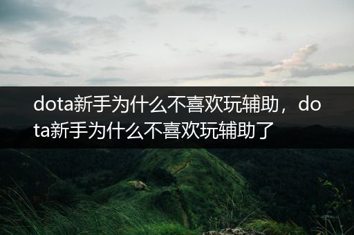 dota新手为什么不喜欢玩辅助，dota新手为什么不喜欢玩辅助了