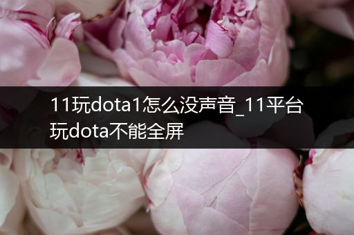 11玩dota1怎么没声音_11平台玩dota不能全屏