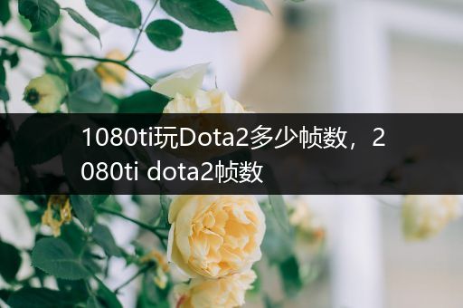 1080ti玩Dota2多少帧数，2080ti dota2帧数