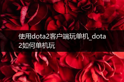 使用dota2客户端玩单机_dota2如何单机玩