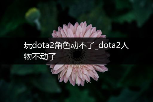 玩dota2角色动不了_dota2人物不动了