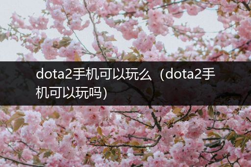 dota2手机可以玩么（dota2手机可以玩吗）