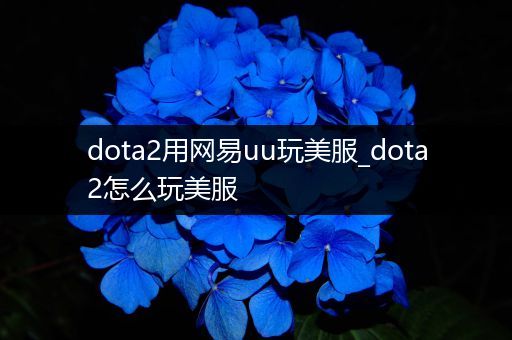 dota2用网易uu玩美服_dota2怎么玩美服