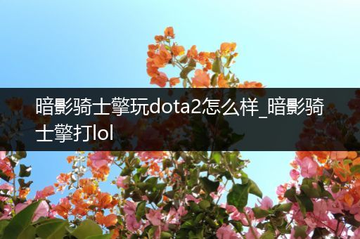 暗影骑士擎玩dota2怎么样_暗影骑士擎打lol