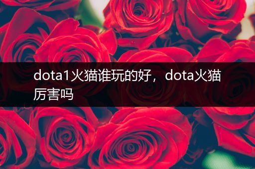 dota1火猫谁玩的好，dota火猫厉害吗