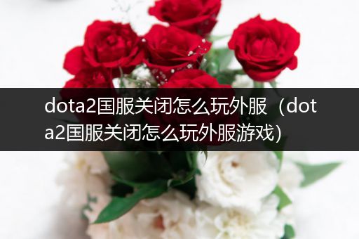dota2国服关闭怎么玩外服（dota2国服关闭怎么玩外服游戏）