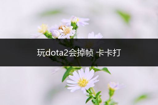 玩dota2会掉帧 卡卡打
