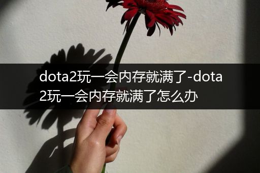 dota2玩一会内存就满了-dota2玩一会内存就满了怎么办