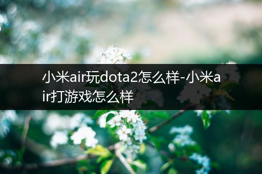 小米air玩dota2怎么样-小米air打游戏怎么样