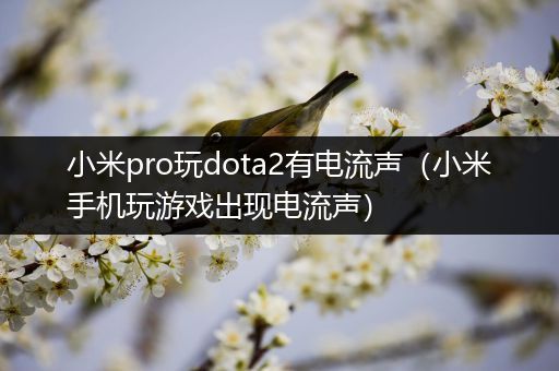 小米pro玩dota2有电流声（小米手机玩游戏出现电流声）