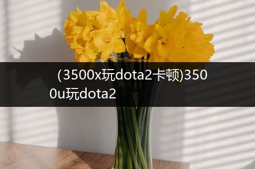（3500x玩dota2卡顿)3500u玩dota2