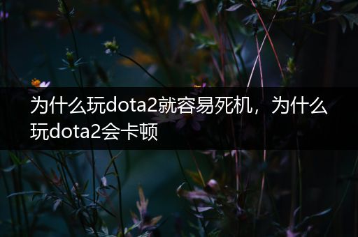 为什么玩dota2就容易死机，为什么玩dota2会卡顿