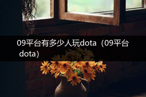 09平台有多少人玩dota（09平台 dota）