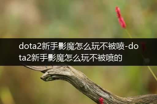 dota2新手影魔怎么玩不被喷-dota2新手影魔怎么玩不被喷的