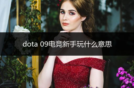 dota 09电竞新手玩什么意思